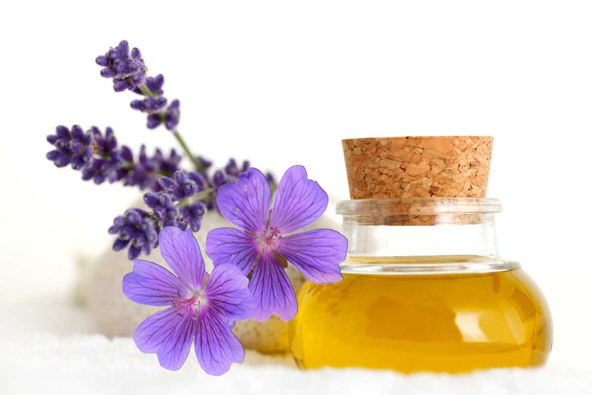 lavender_geranium_oil