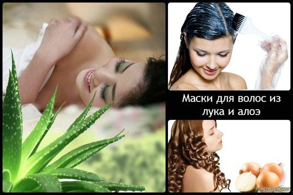 Алоэ в уходе за собой Алоэ в уходе за собой